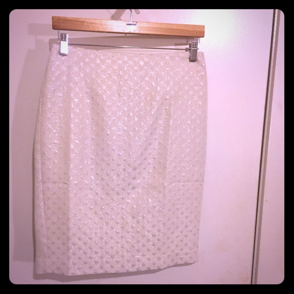 Brand New Ann Taylor skirt with tags